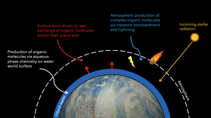 phd in astrobiology