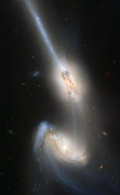 NGC 4676